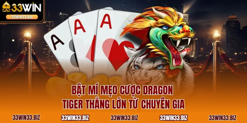 Bật mí mẹo cược Dragon Tiger thắng lớn từ chuyên gia