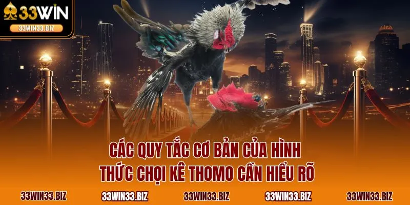 Các quy tắc cơ bản của hình thức chọi kê Thomo cần hiểu rõ