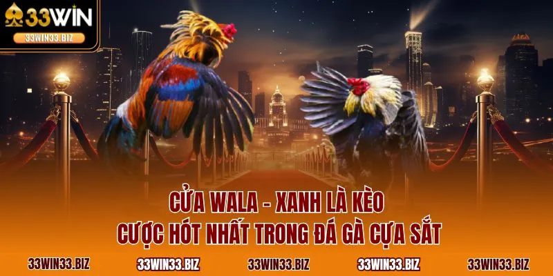 Cửa Wala - Xanh là kèo cược hót nhất trong đá gà cựa sắt