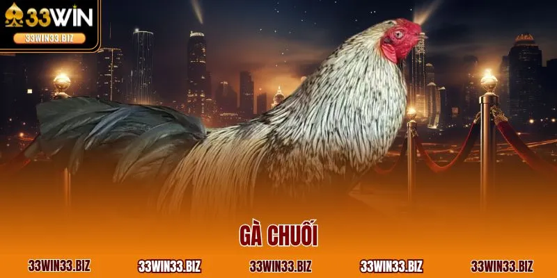 Gà chuối