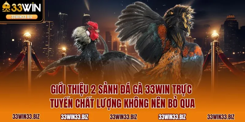 Giới thiệu 2 sảnh đá gà 33WIN trực tuyến chất lượng không nên bỏ qua