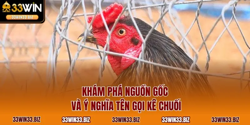 Khám phá nguồn gốc và ý nghĩa tên gọi kê chuối