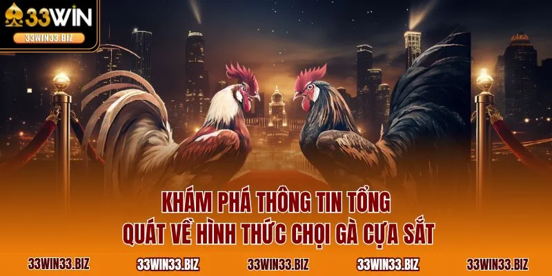 Khám phá thông tin tổng quát về hình thức chọi gà cựa sắt