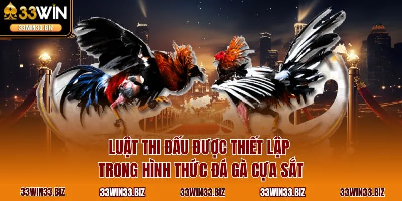 Luật thi đấu được thiết lập trong hình thức đá gà cựa sắt