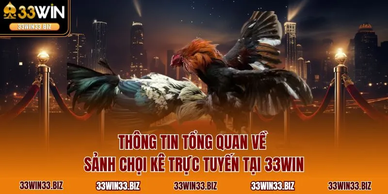 Thông tin tổng quan về sảnh chọi kê trực tuyến tại 33WIN