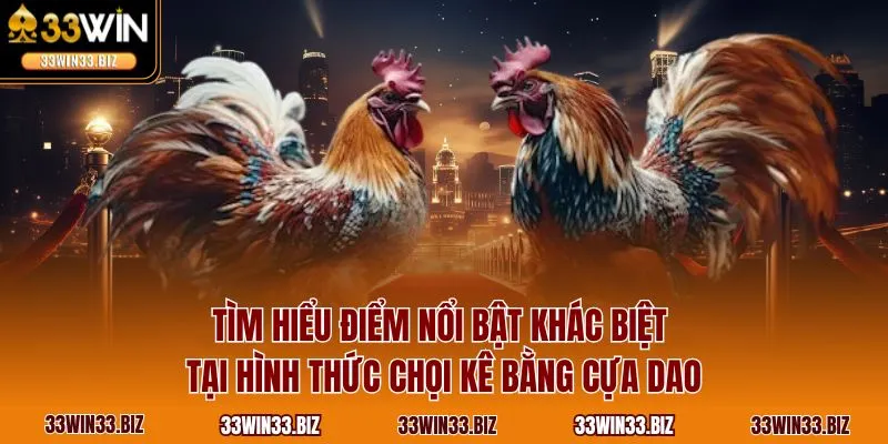 Tìm hiểu điểm nổi bật khác biệt tại hình thức chọi kê bằng cựa dao